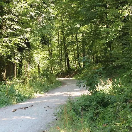 Sg Monteurunterkunft